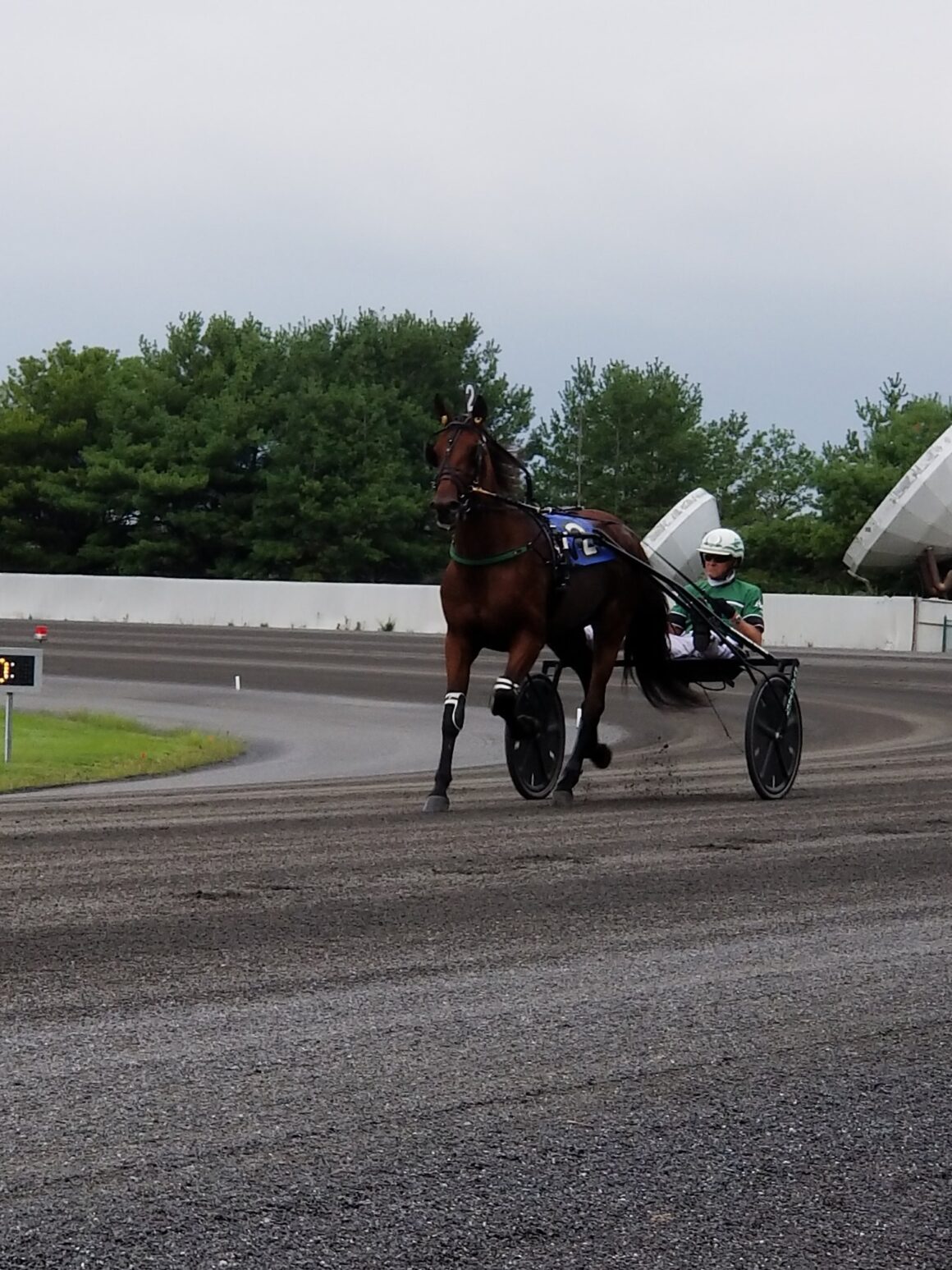 Freehold Raceway Racetrack Review - NJ BET