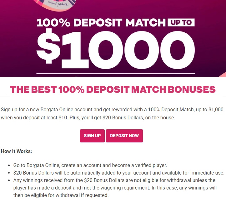 100% deposit bonus casinos 