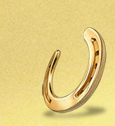 Horseshoe logo